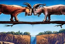 iki inatçı keçi masalı